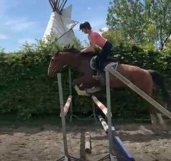 3lety valach hoby, sport… - 2