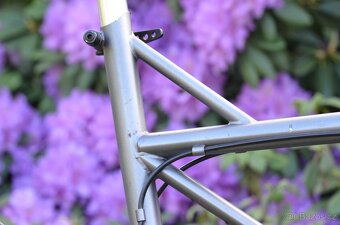 Checker Pig CPX 3066 S - 2