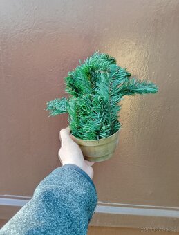 Dekorace na stůl - 2