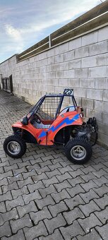 Racer Buggy Havel - 2