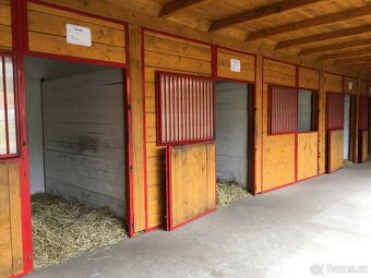 Ustájení koní - 2