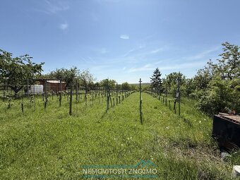 Prodej zahrady 876m2, voda i elektřina, k.ú. Dobšice u Znojm - 2