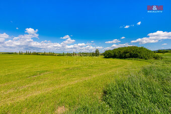 Prodej louky, 2373 m², Blížejov - 2