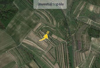 Prodej pole v k.ú. Velké Pavlovice - 2