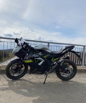 Kawasaki Ninja 125ccm 11kW - 2