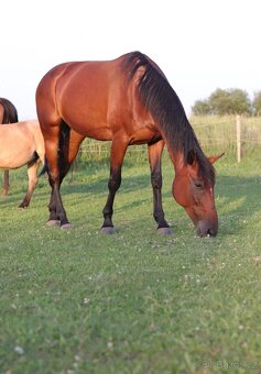 Hobby klusačka - 2