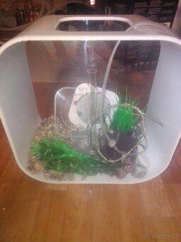 Akvárium aquarium Biorb - 2