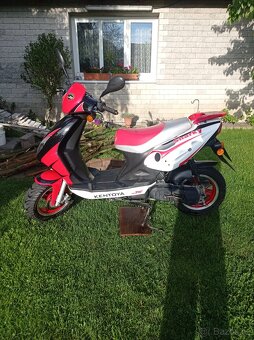 Kentoya Sharky 50ccm - 2