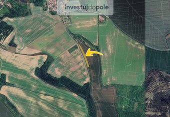 Prodej pole v k.ú. Dobřichov - 2