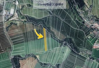 Prodej pole v k.ú. Doubravice nad Svitavou - 2