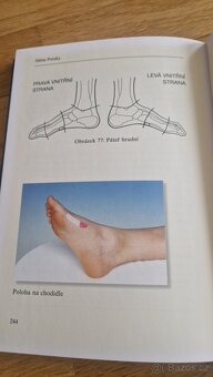 Reflexní terapie, Julius Pataky - 2