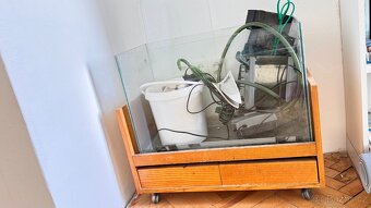 Vintage akvaristika - 2