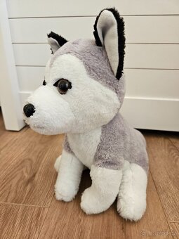 NOVÝ plyšový Husky - 2
