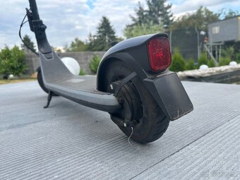 Ninebot KickScooter E2 E by Segway - 2