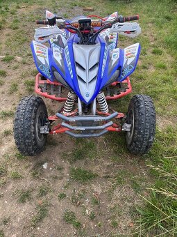 Yamaha raptor 350 - 2