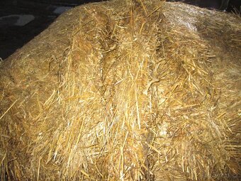 Prodám senáž - 2