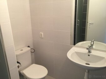 Pronájem bytu 1+kk Horka nad Moravou - 2