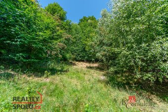 Prodej, pozemky/bydlení, 1161 m2, Hraničná, 46811 Janov nad - 2