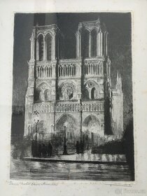 Grafika T.B.G Notre Dame - 2