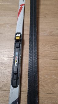 Běžky 140cm, šupiny - 2