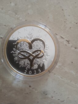 Stříbrná mince - 2