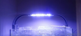 Akvarijní led závěsné osvětlení černé 10w - 2