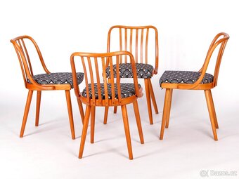 Židle TON, A. Šuman, RARITNÍ verze opěradel - 2