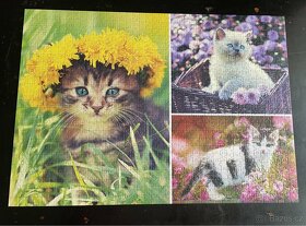 Puzzle Eko Trefl 1000 - 2