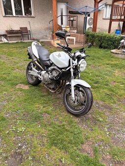 Honda cb600f - 2