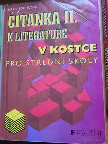 Čítanka v kostce - 2