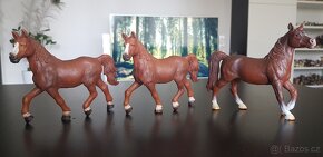Schleich koně koníci Ryzák. Lusitano, Achal, různé - 2