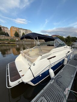Sea Ray sundancer 230 - 2