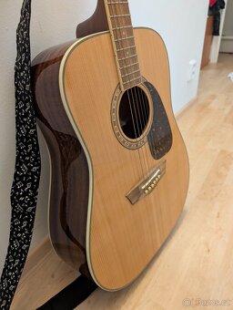 Kytara Washburn WD10S - 2