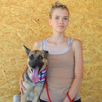 Norton hledá domov - 2