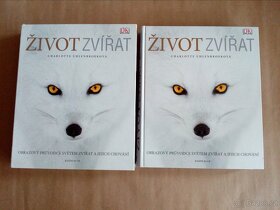 Charlotte Uhlenbroek - Život zvířat - 2