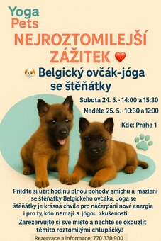 Uzasny zazitek, voucher, vstupenka, stenata - 2