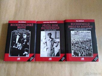 BUCHENWALD série - Flint Whitlock - 2