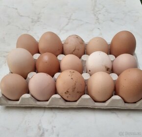 Čerstvá domácí vejce/vajíčka - 2