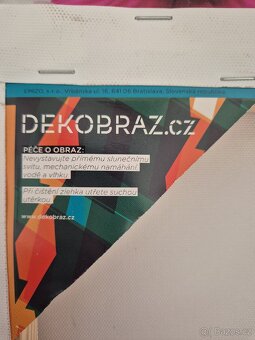 Obraz květiny - 2