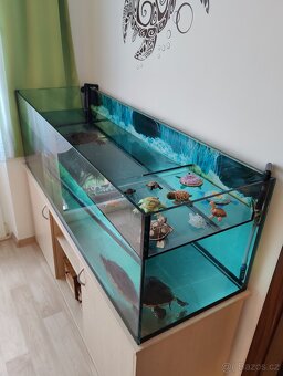 Želvárium-akvárium set včetně 3 vodních želv - 2