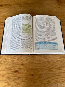 Lékařské knihy Revmatologie a interní medicína interna - 2