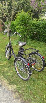 Elektrická tříkolka Longwise - 2