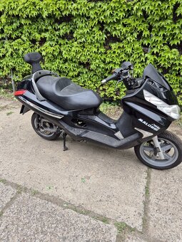 Piaggio x8 125 - 2
