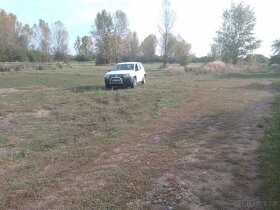Pozemek u jezera Pístník, přes 1,8 ha, blízko dálnice D8... - 2