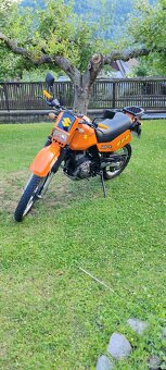 Suzuki DR600 - 2