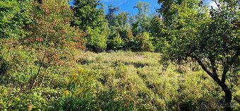 Stavební pozemek Krnsko - Mladá Boleslav - 2