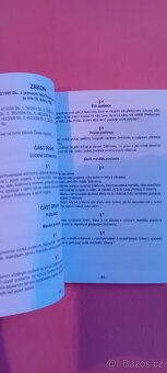 ÚSTAVA ČESKÉ REPUBLIKY - 2