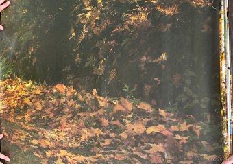 Obrazová tapeta Podzimní romance - 2