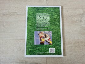 Kniha Fotbalové hvězdy 2003 - 2