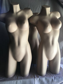 Dámské torzo - Figuríny - 2